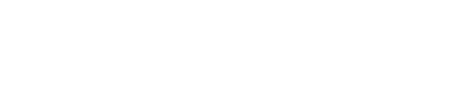 DokChess Logo